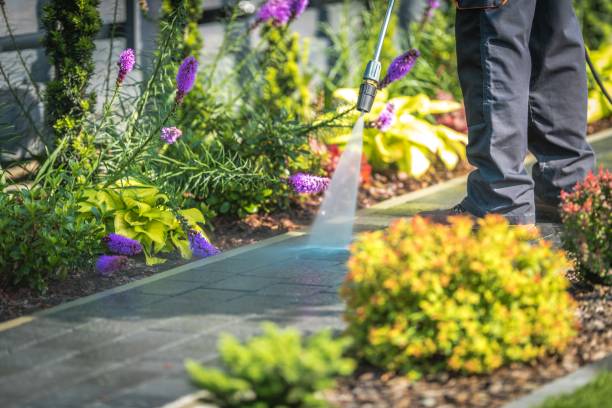 Professional Pressure Washing Services in Belzoni, MS