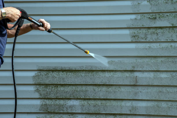 Best Vinyl Siding Pressure Washing in Belzoni, MS
